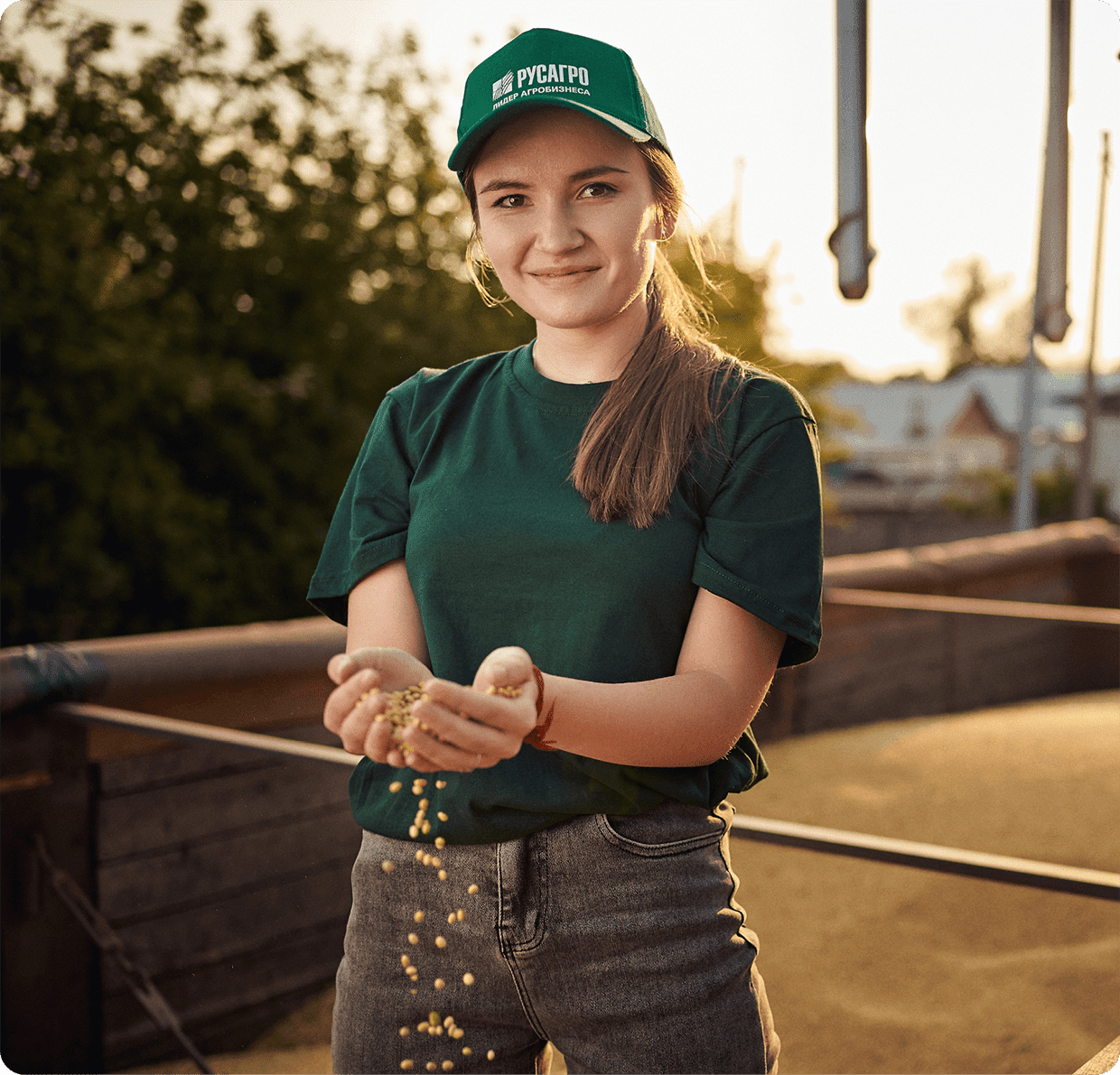 Системы внутреннего обучения